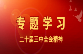 科瑞黨建｜三中全會(huì)《決定》提出的“六個(gè)堅(jiān)持”是指什么？